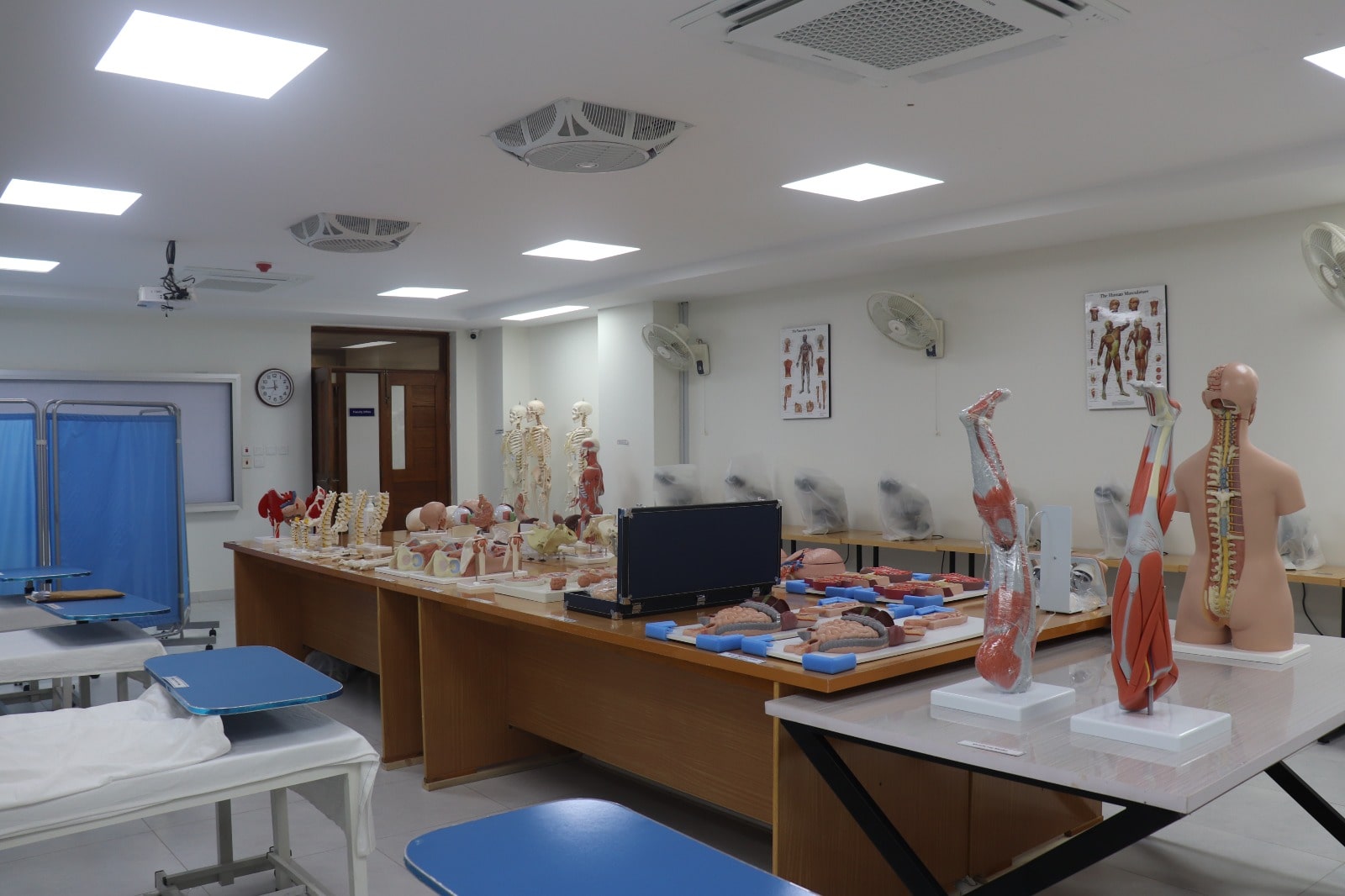 AnatomyLab
